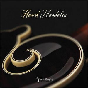 Hoard Mandolin