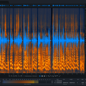 RX 11 Advanced: Upgrade from any prev RX Std