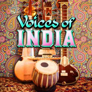 Voices of India_Sitar