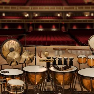 Orchestral Percussion