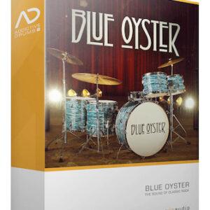 Blue Oyster