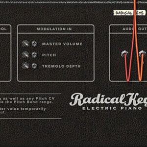 Radical Keys Virtual Keyboard