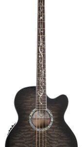 Dragonfly 4 Smoke Burst Acoustic Bass