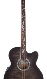 Dragonfly 4 Fretless