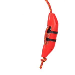 Dolphins Prop Acoustic Not For Sale